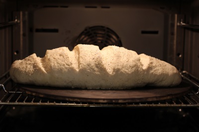 Loaf before baking, oven fan visible