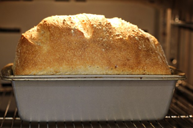 Loaf after baking with a golden crust