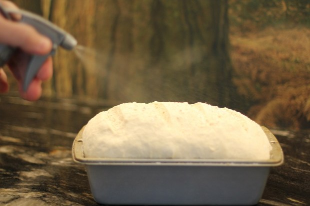 Spraying the loaf before putting it in the oven