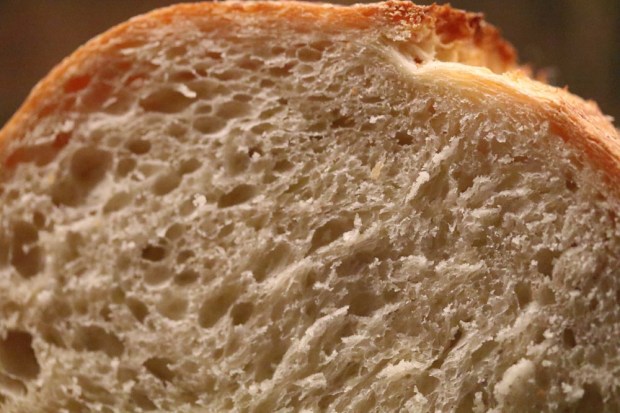 A decent crumb, not too tight, so butter can melt into it