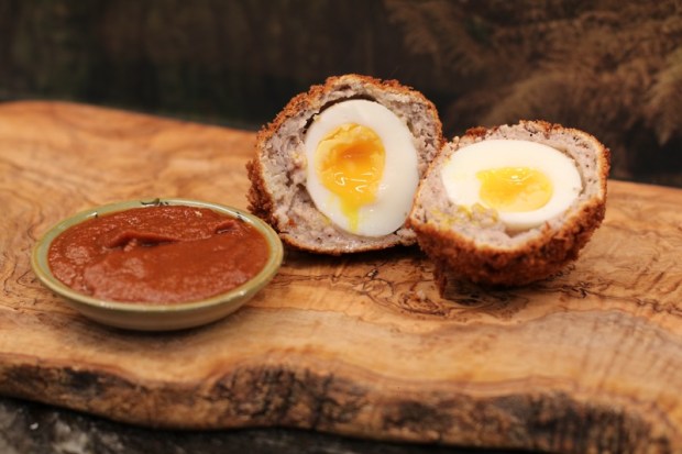 Rustic Pub Scotch Eggs with Tamarind and Date Dipping Sauce