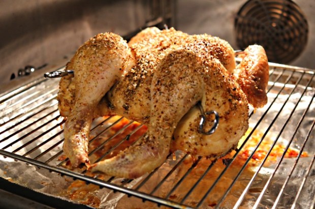 Spatchcock chicken with Happy Nancy roasting in an oven