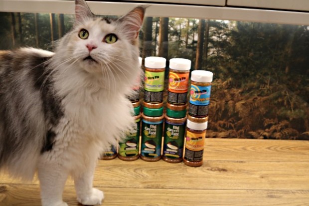 Even the cat was interested in the BBQ rubs