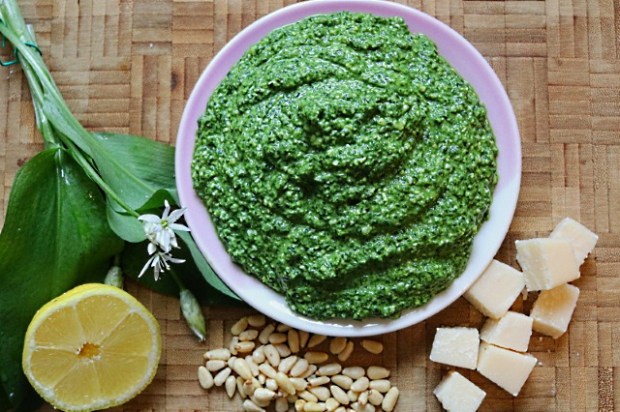 Wild garlic leaf pesto sauce