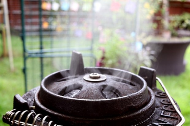 Thin plumes of alder smoke coming from the daisy wheel (library pic)