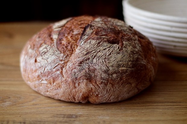 Freshly baked loaf of bread ready to eat