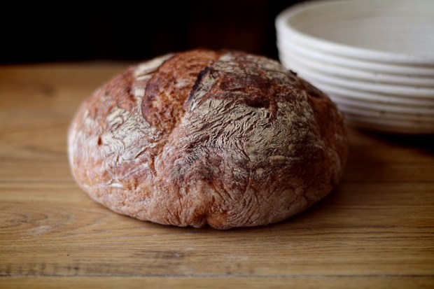 A loaf of freshly baked bread