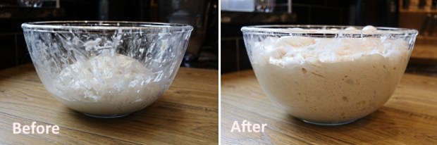 Dough before and after fermentation