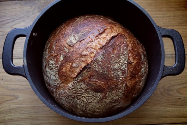 Freshly baked loaf of crusty artisan bread