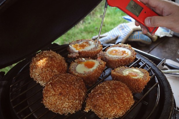 Testing temperature with a thermapen ... needs a bit more time