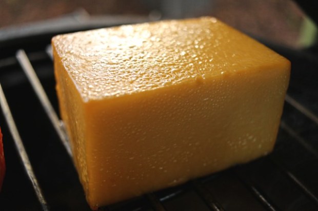 Cheddar at the end of smoking with oil on the surface