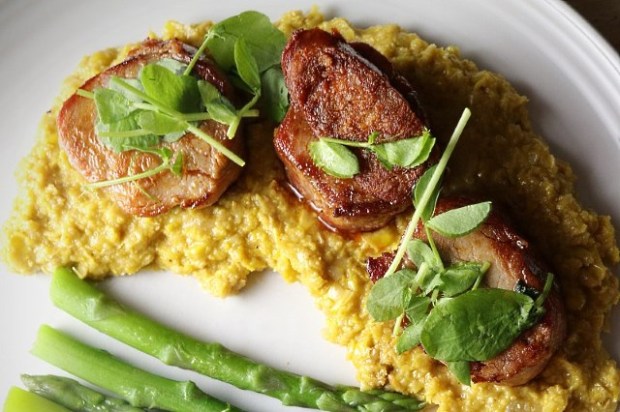 Pork fillet with sweetcorn puree served with asparagus tips