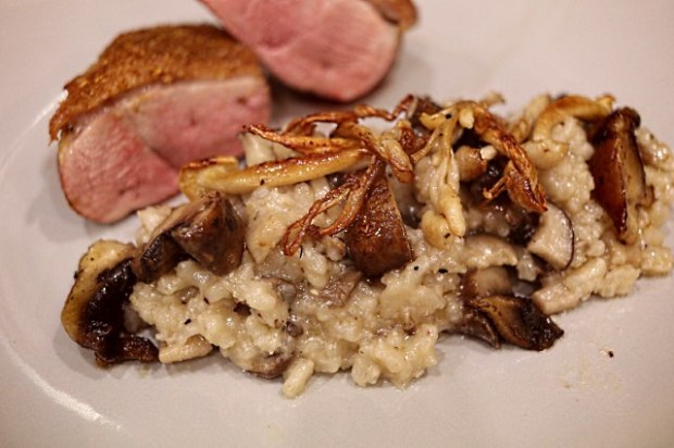 Mushroom and truffle risotto served with spiced duck breast