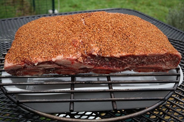 Short ribs rubbed and ready for cooking