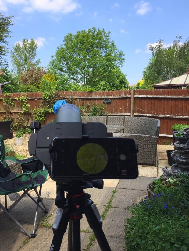 Looking at a tree in the distance