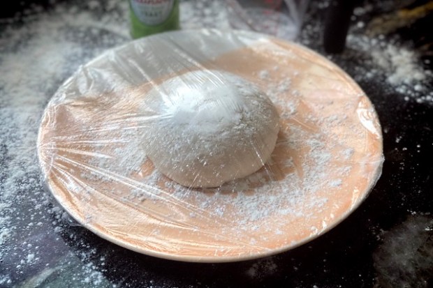 Dough ball covered and ready for second fermentation