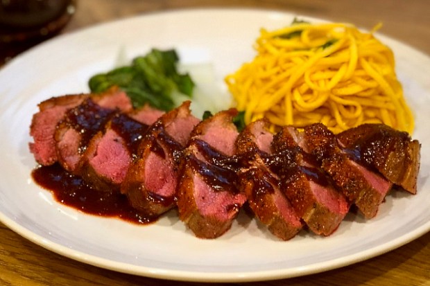 Duck breast with plum and tamarind sauce, noodles and pak choi